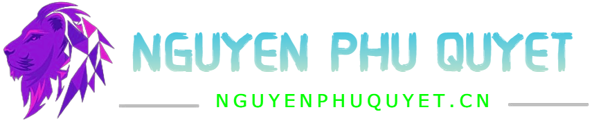 NGUYENPHUQUYET.CN